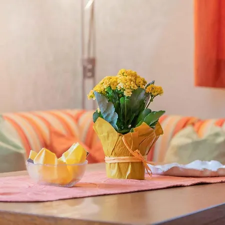 Appartements-klaus Rehoboth Beach